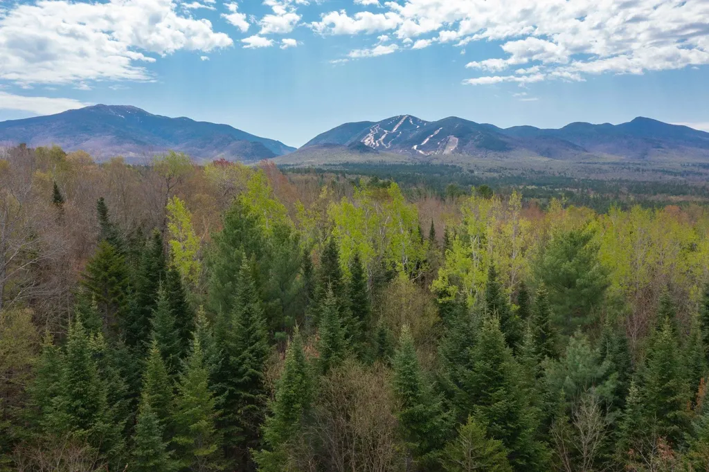 Map 8 Lot 22 Indian Pipe Road Franconia NH 03580