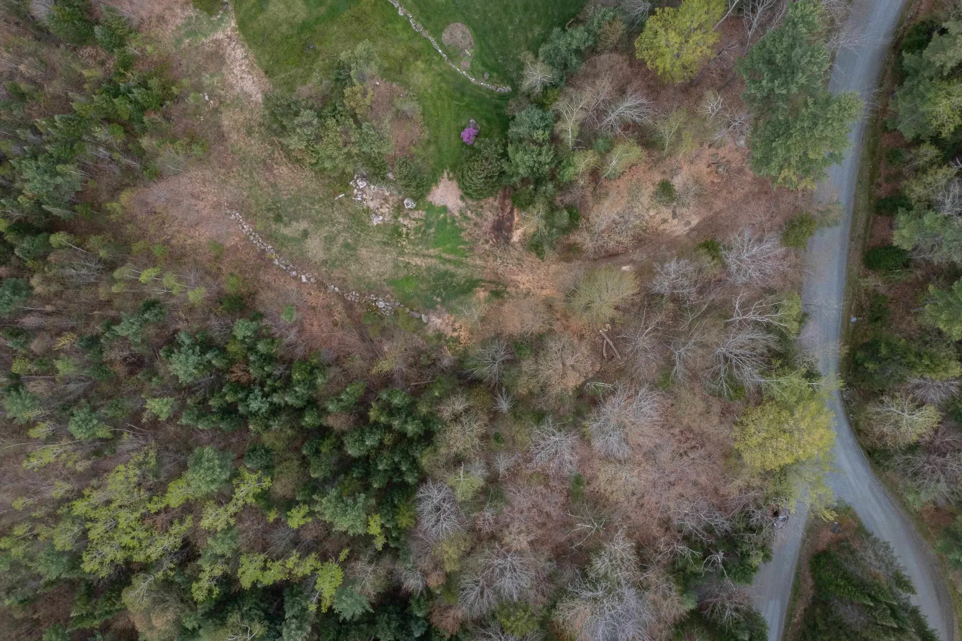 Map 8 Lot 22 Indian Pipe Road Franconia NH 03580