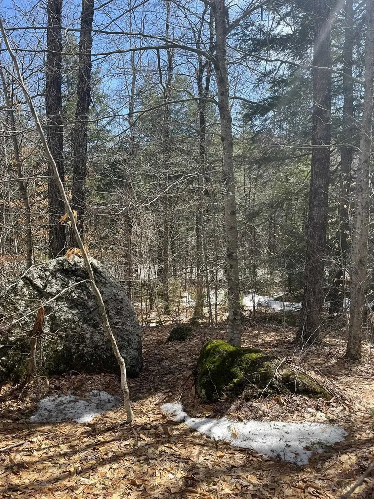 East Washington Road Washington NH 03280