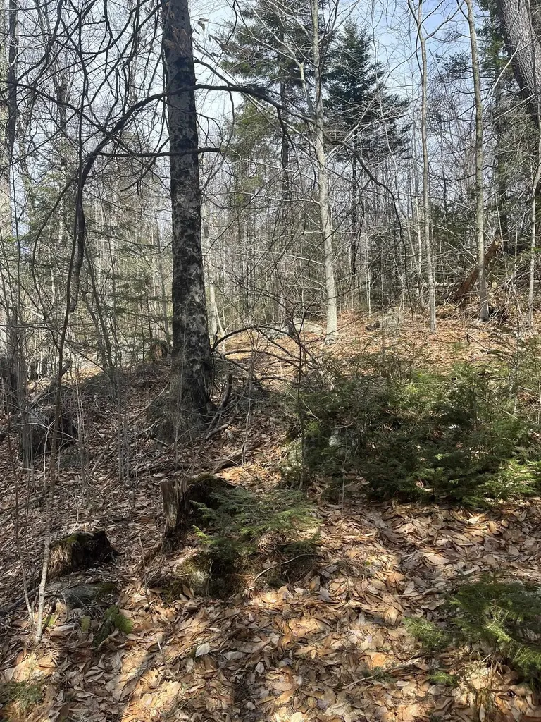 East Washington Road Washington NH 03280