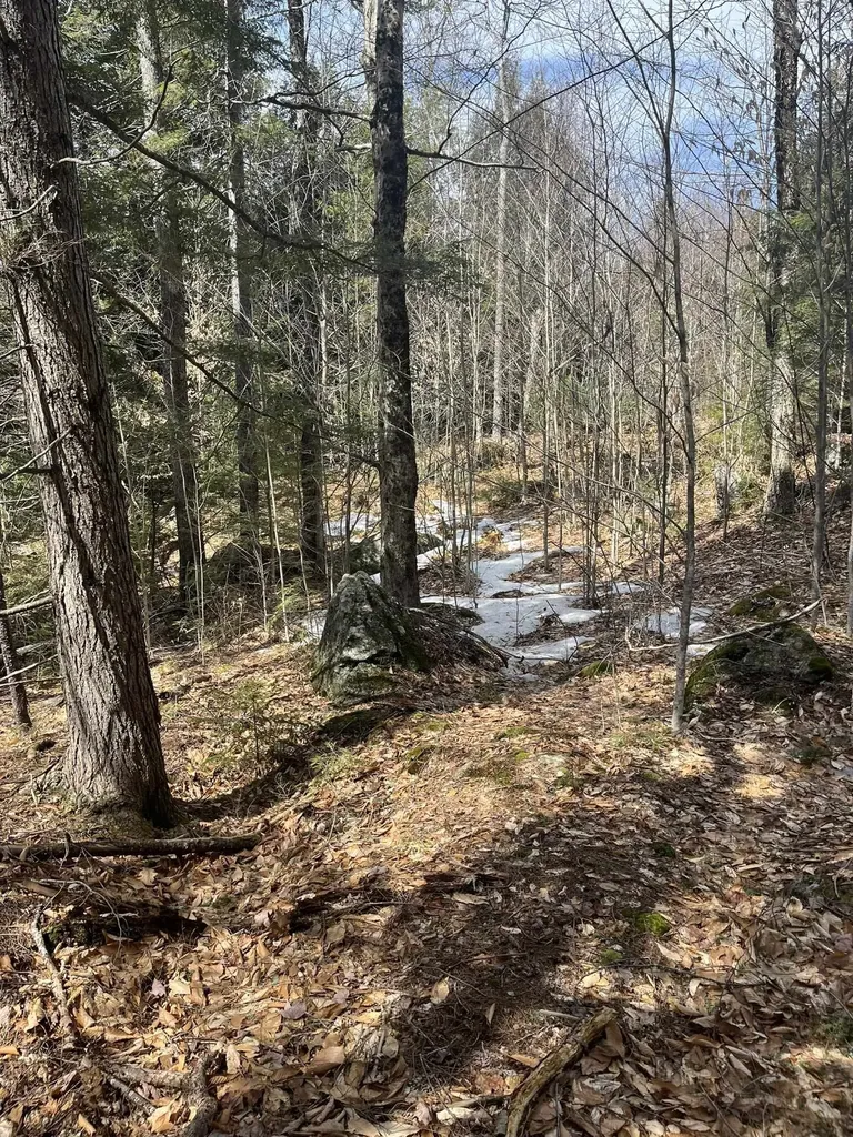 East Washington Road Washington NH 03280