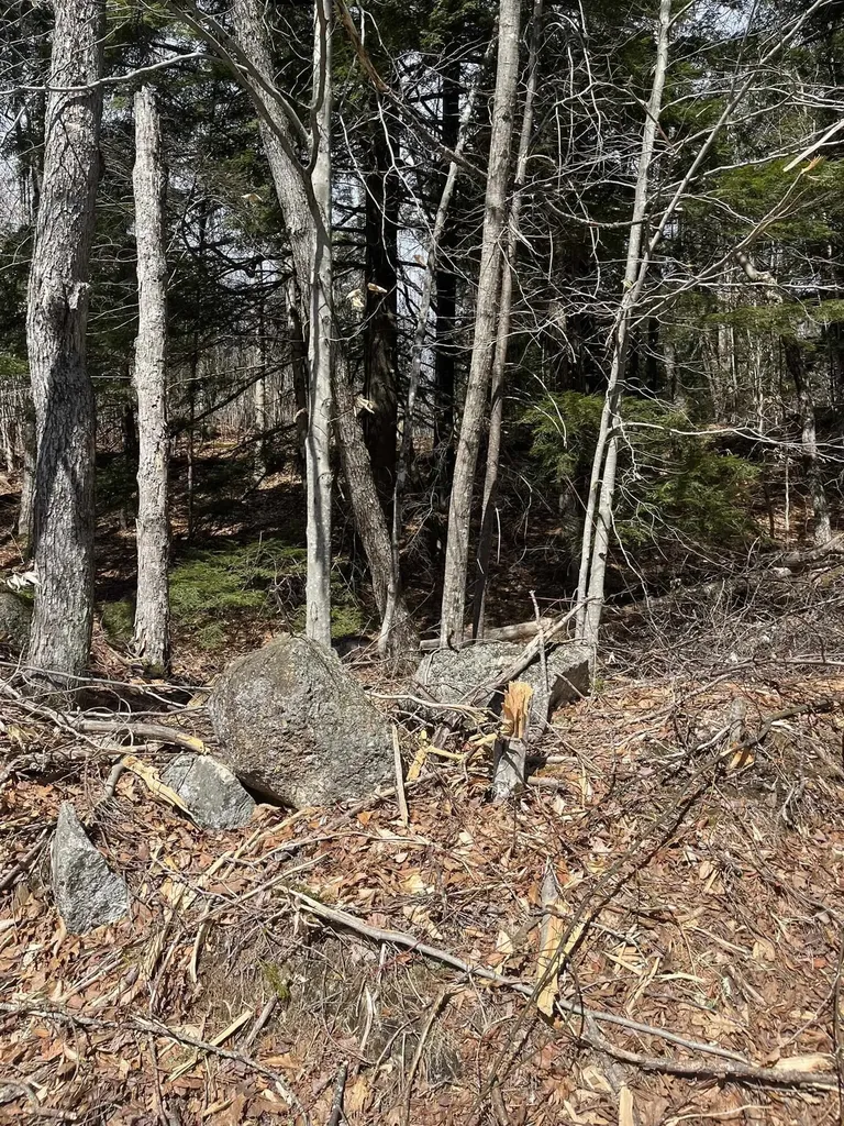 East Washington Road Washington NH 03280