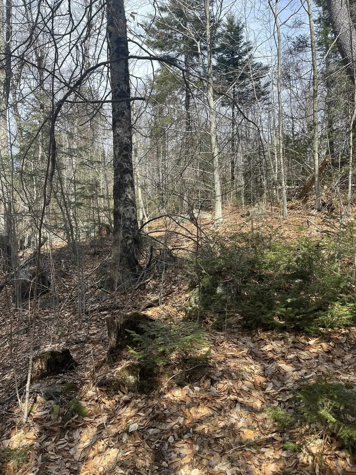 East Washington Road Washington NH 03280