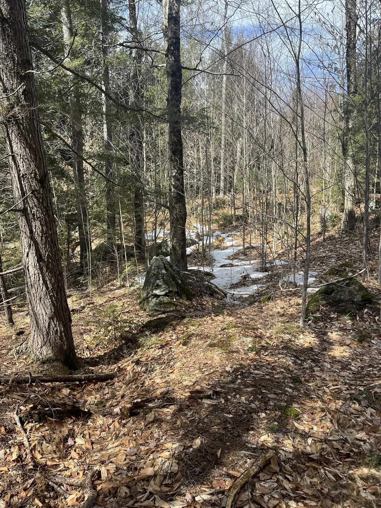 East Washington Road Washington NH 03280