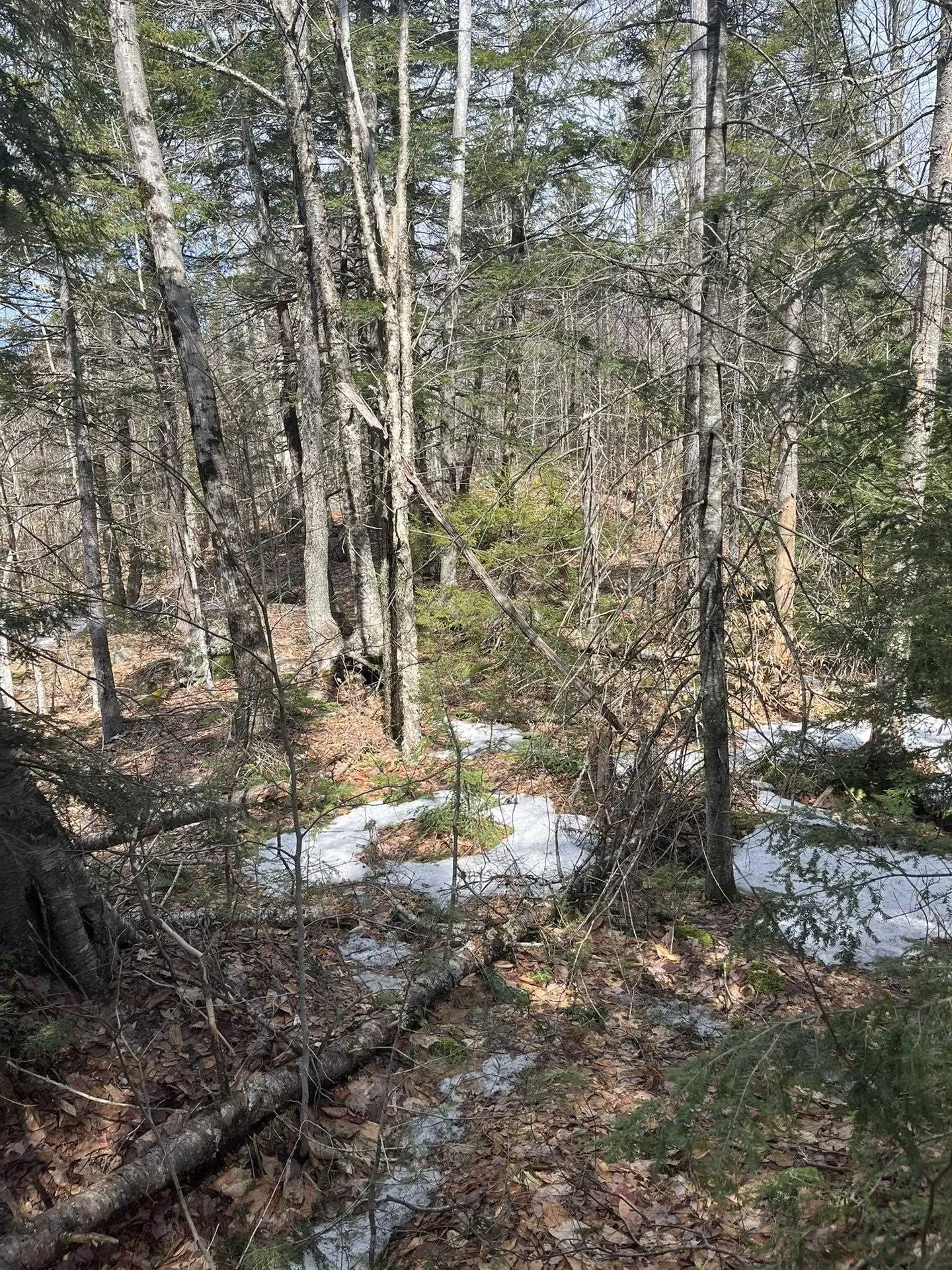 East Washington Road Washington NH 03280