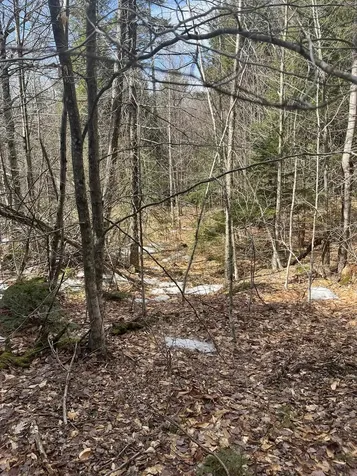 East Washington Road Washington NH 03280