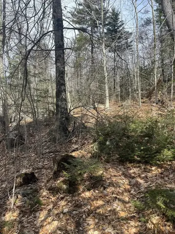 East Washington Road Washington NH 03280