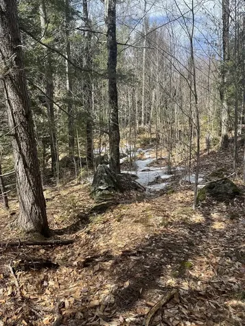 East Washington Road Washington NH 03280