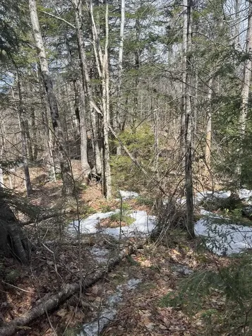 East Washington Road Washington NH 03280