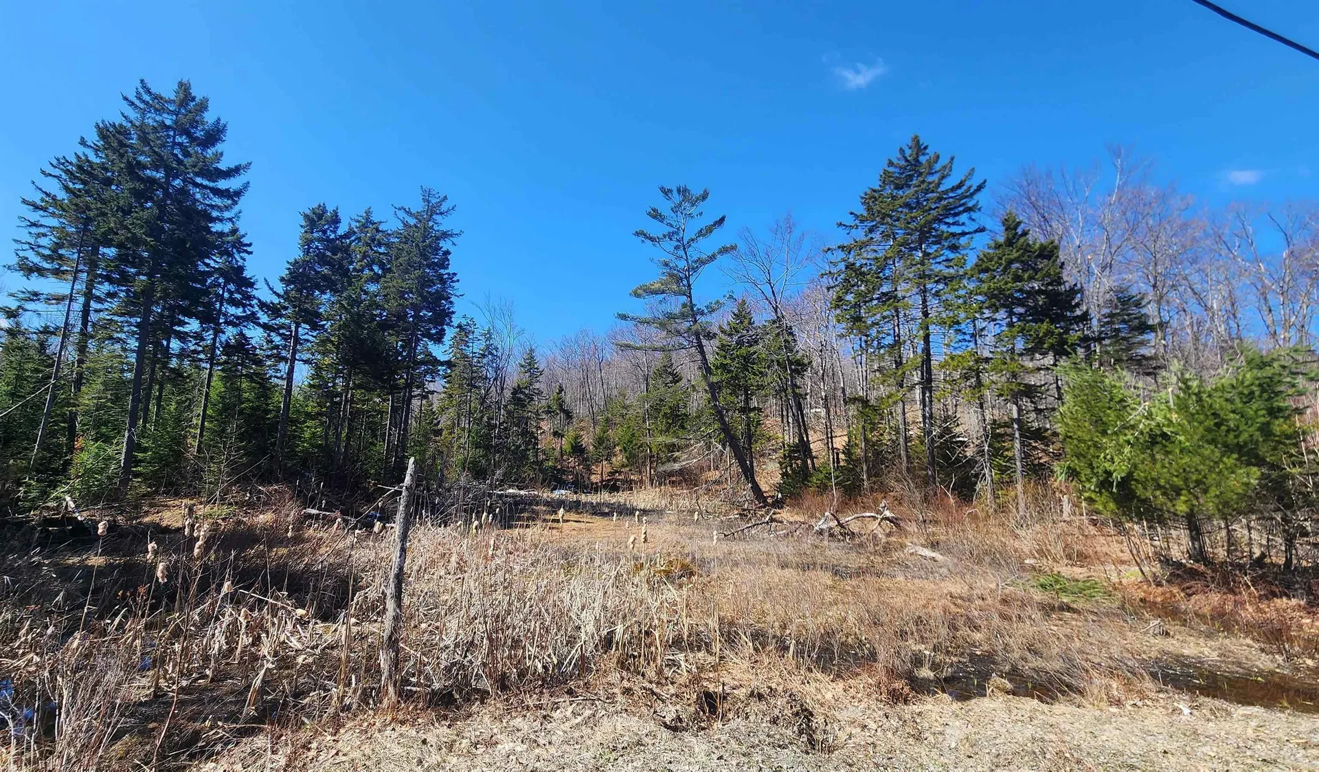 00 East Hill Road Andover VT 05143