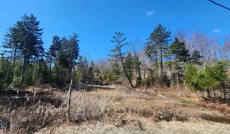 00 East Hill Road Andover VT 05143