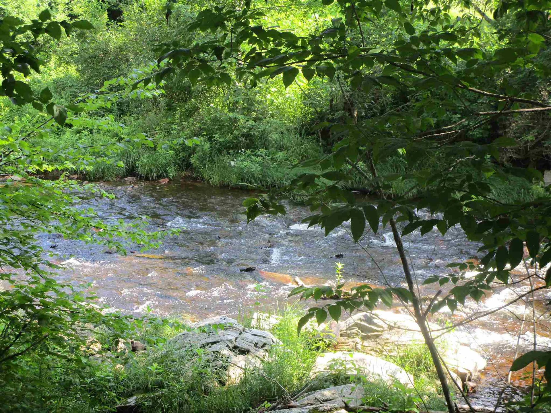 1950 North Main Street Londonderry VT 05148