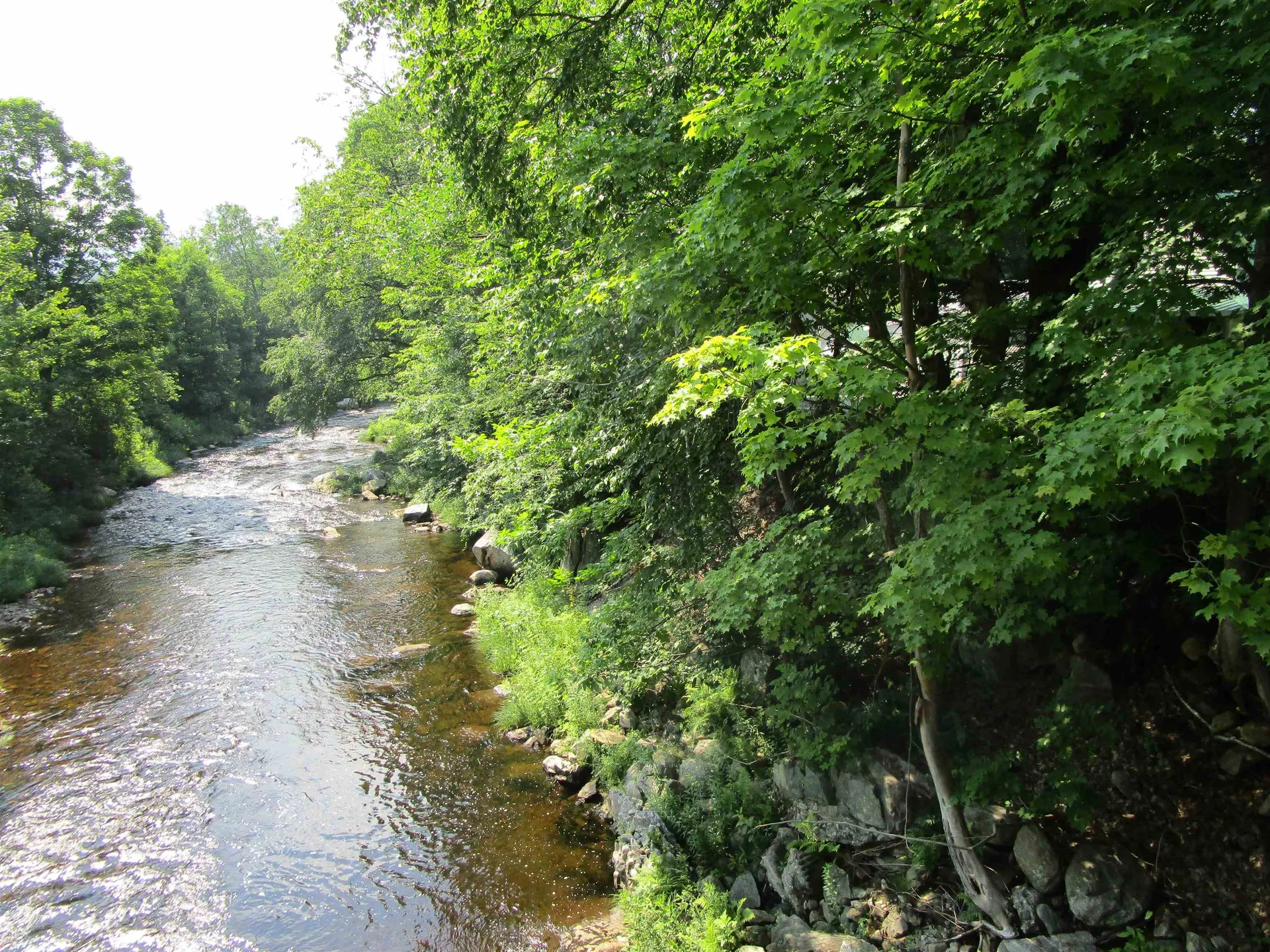 1950 N. Main Street Londonderry VT 05148