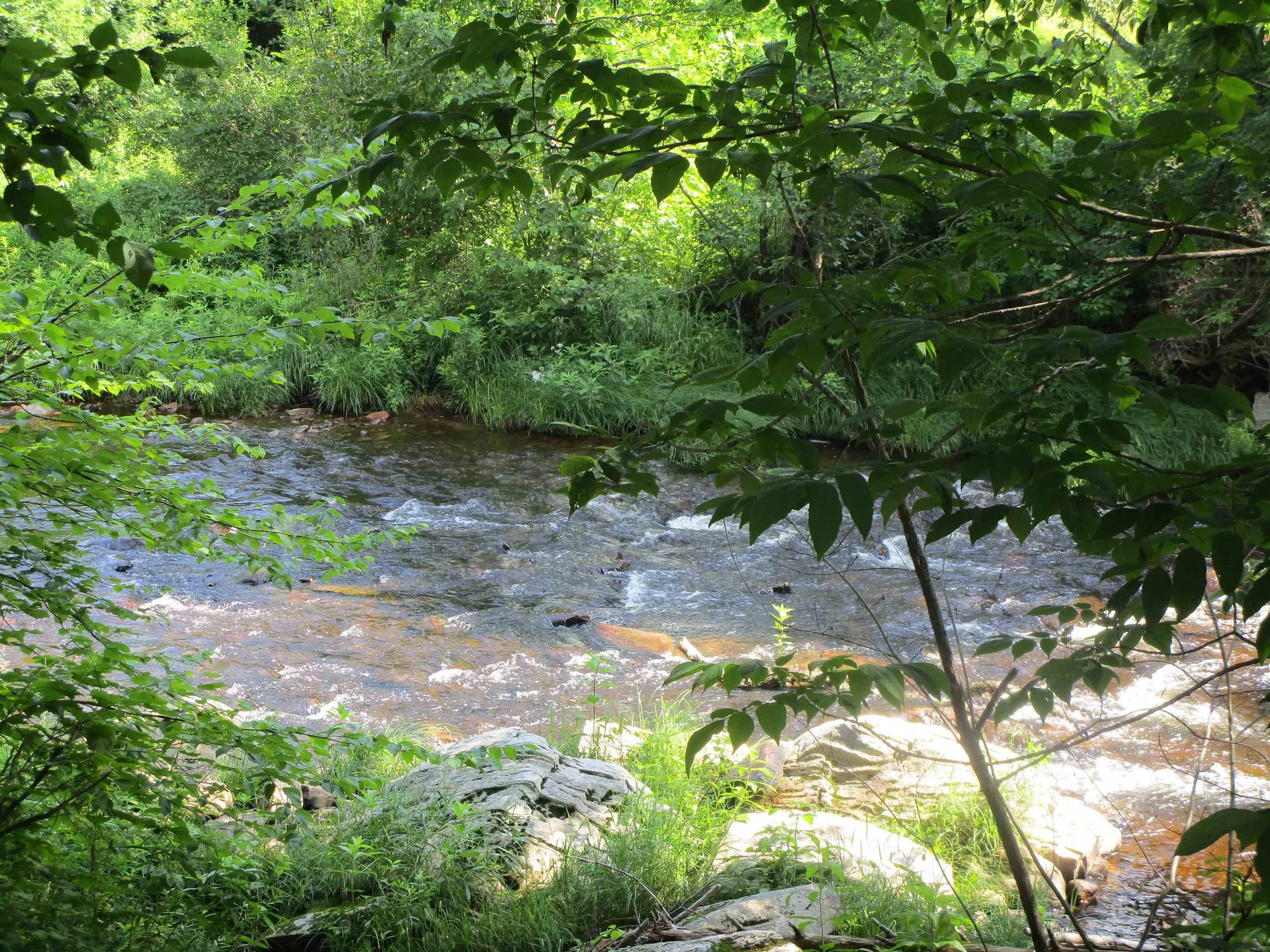 1950 N. Main Street Londonderry VT 05148