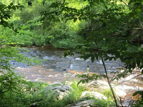 1950 N. Main Street Londonderry VT 05148