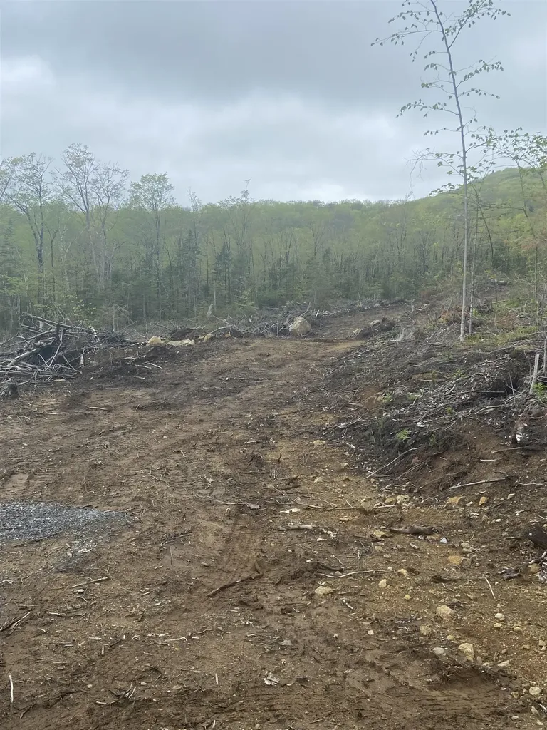 1180 Abbott Hill Road Newark VT 05871