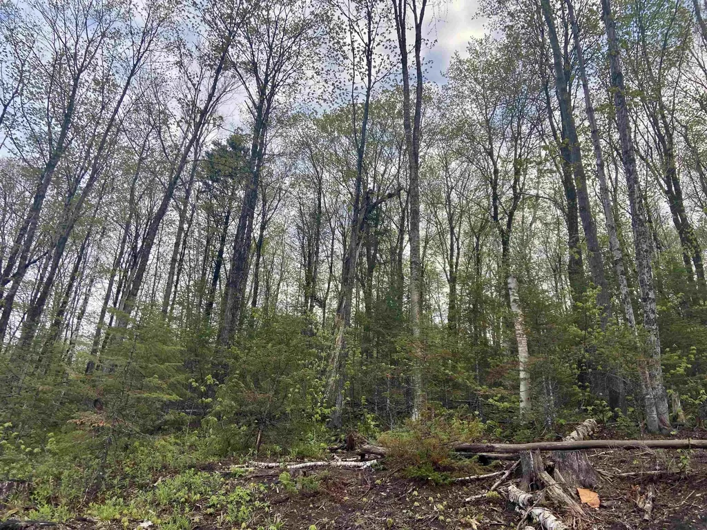 1180 Abbott Hill Road Newark VT 05871