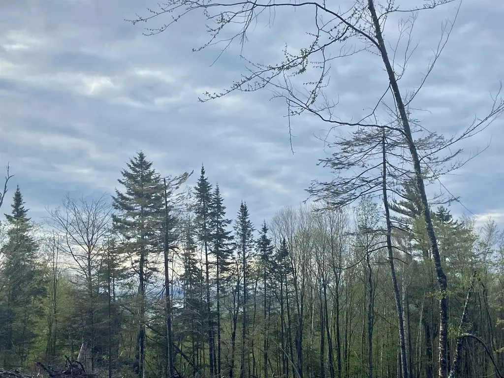 1180 Abbott Hill Road Newark VT 05871