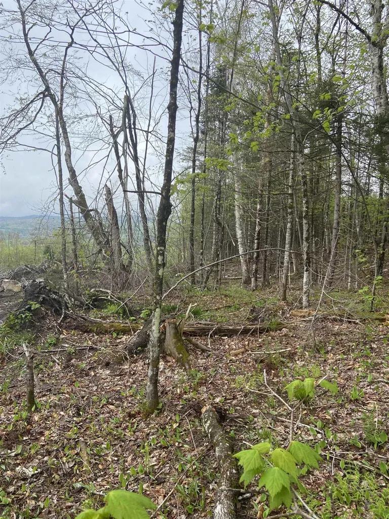 1180 Abbott Hill Road Newark VT 05871