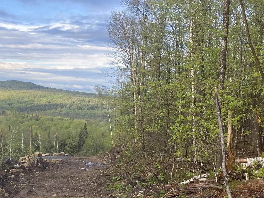 1180 Abbott Hill Road Newark VT 05871