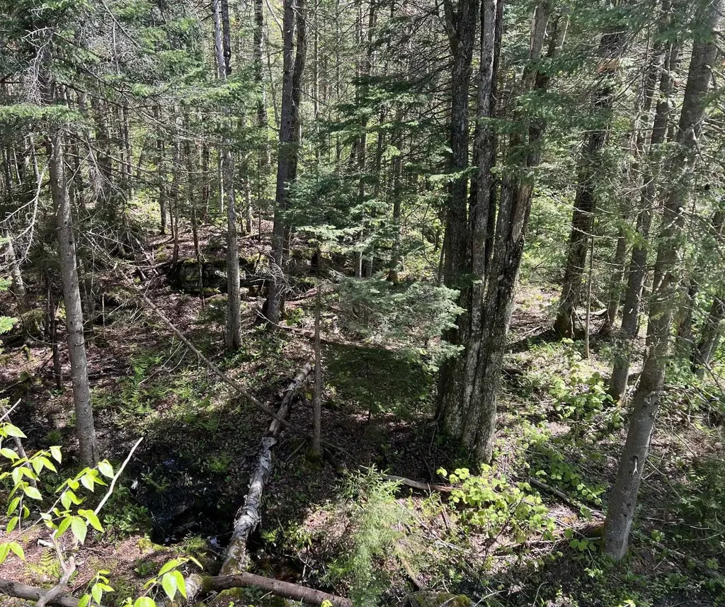 1180 Abbott Hill Road Newark VT 05871