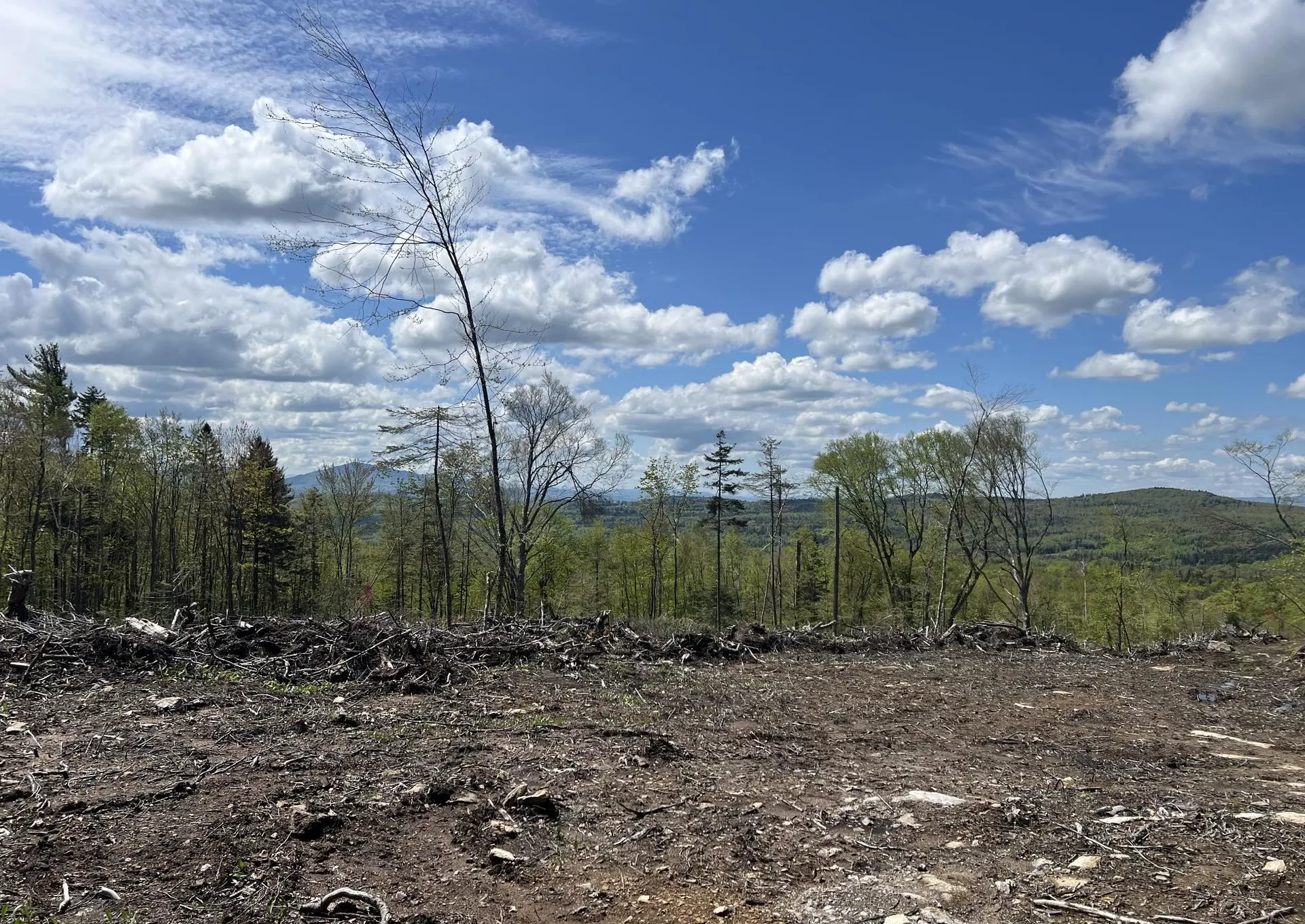 1180 Abbott Hill Road Newark VT 05871