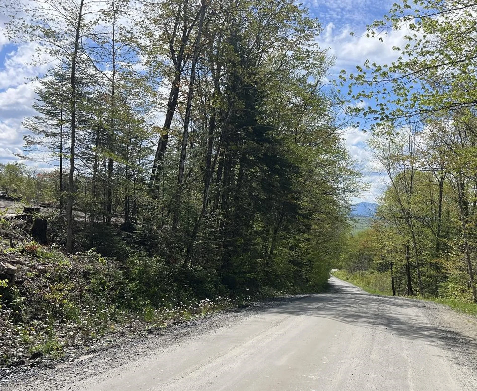 1180 Abbott Hill Road Newark VT 05871