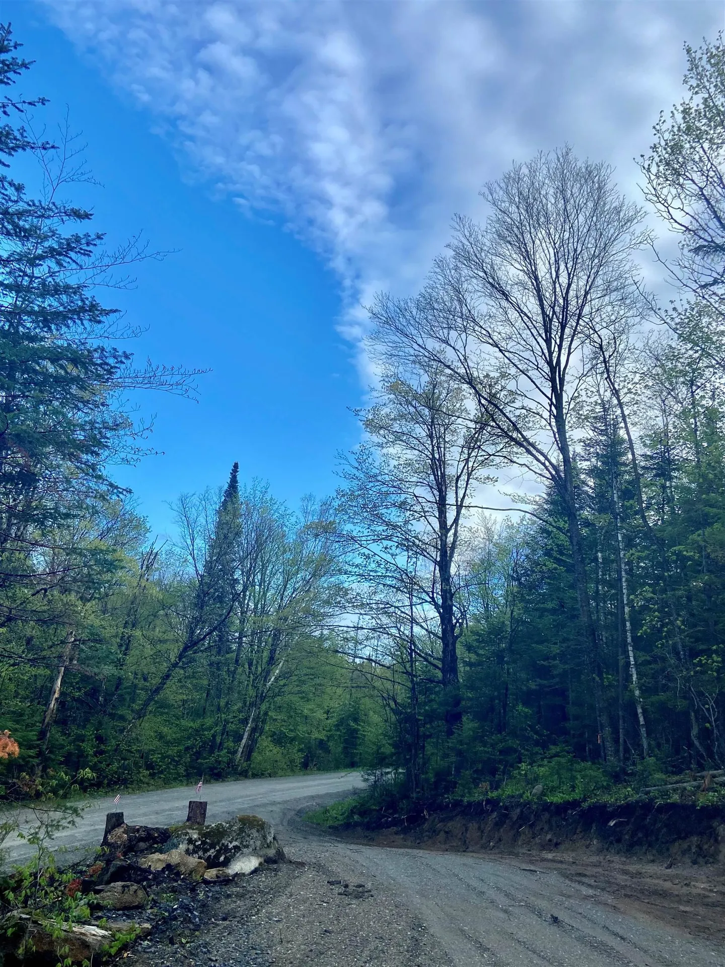 1180 Abbott Hill Road Newark VT 05871