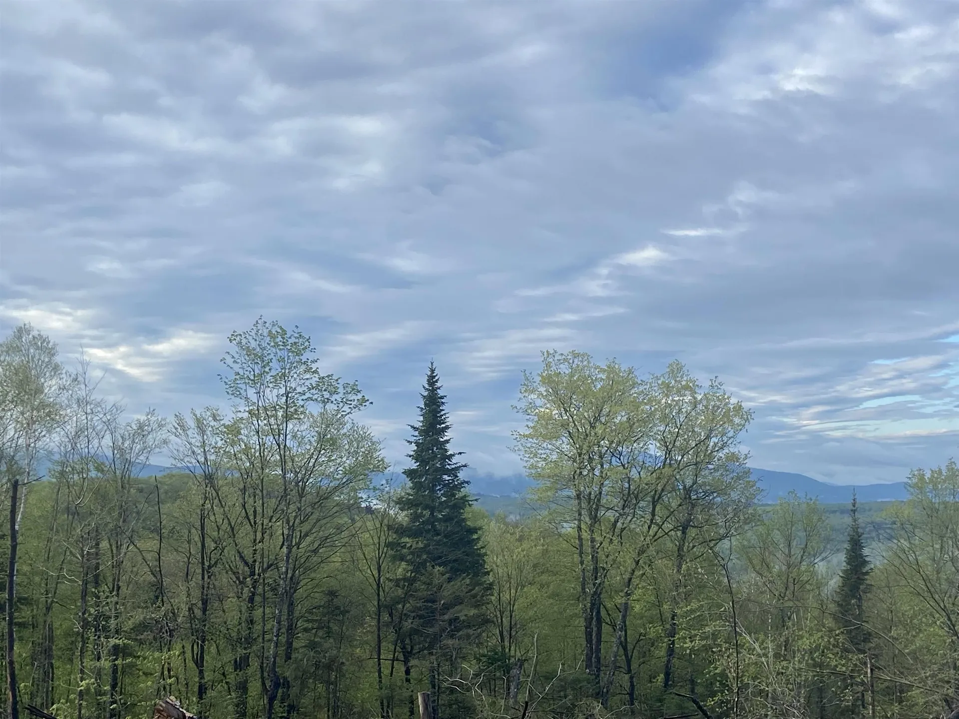 1180 Abbott Hill Road Newark VT 05871