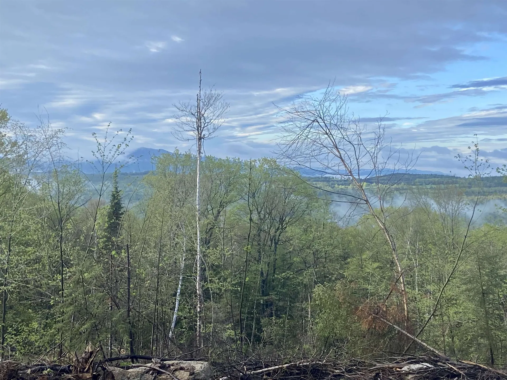 1180 Abbott Hill Road Newark VT 05871