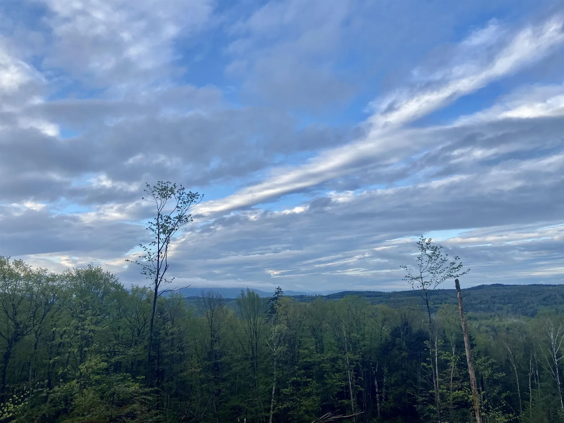 1180 Abbott Hill Road Newark VT 05871