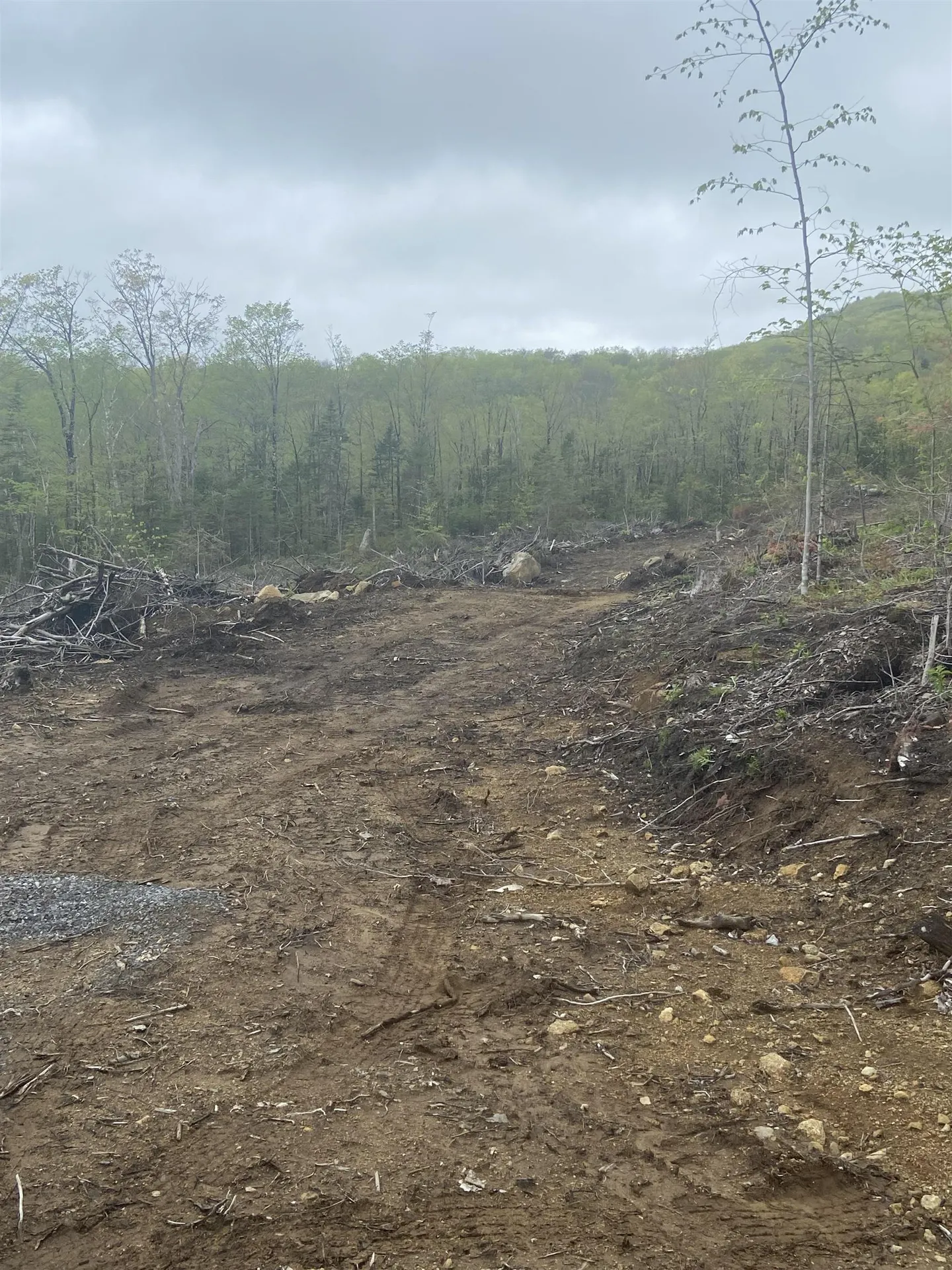 1180 Abbott Hill Road Newark VT 05871