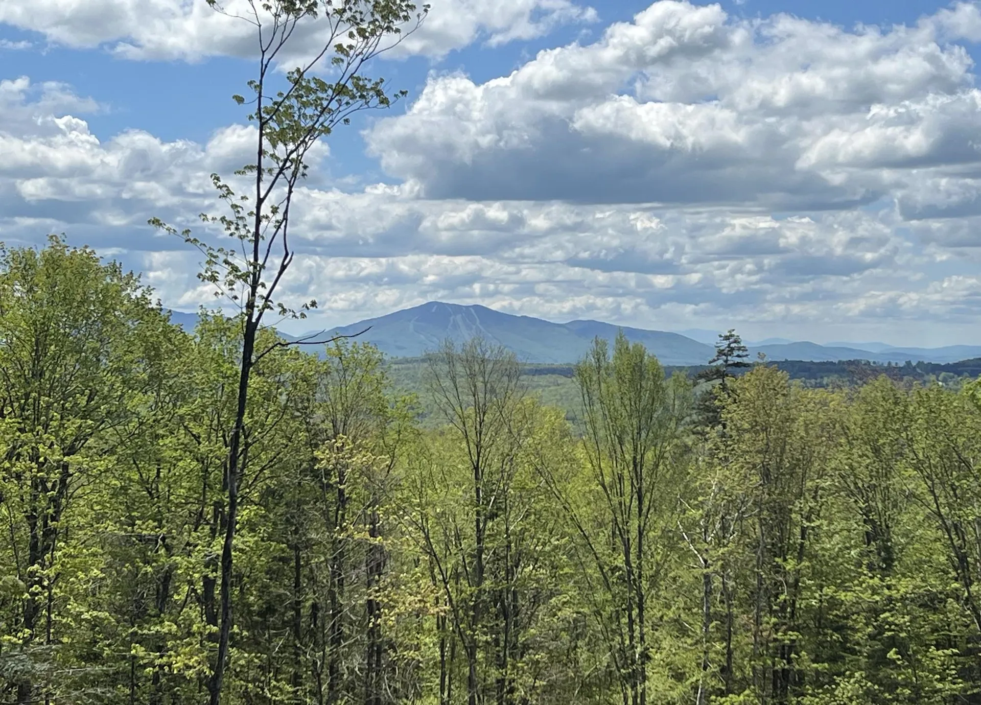 1180 Abbott Hill Road Newark VT 05871