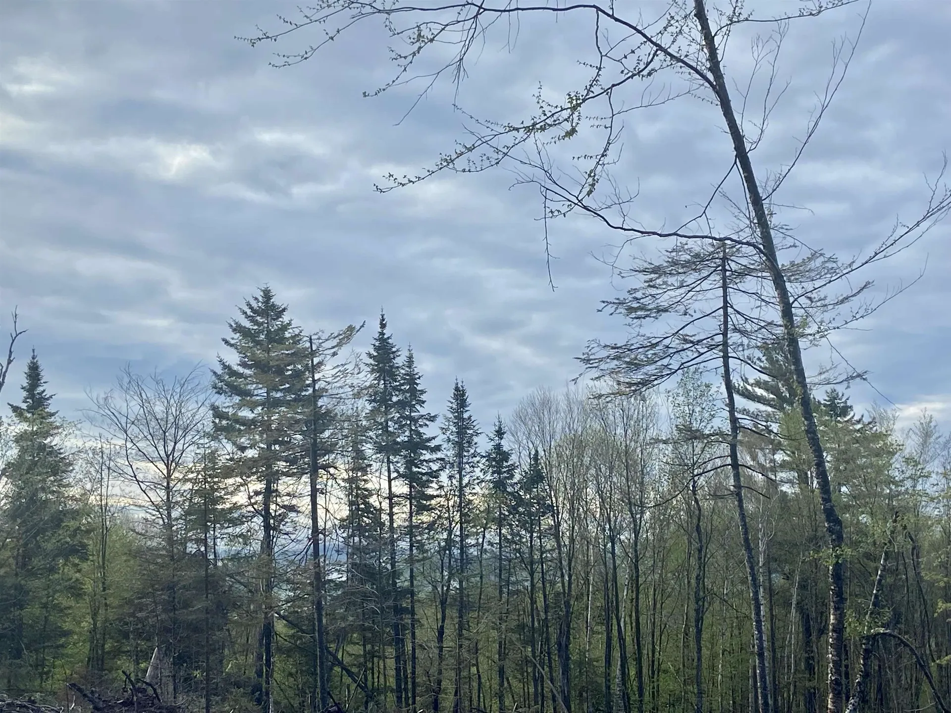 1180 Abbott Hill Road Newark VT 05871