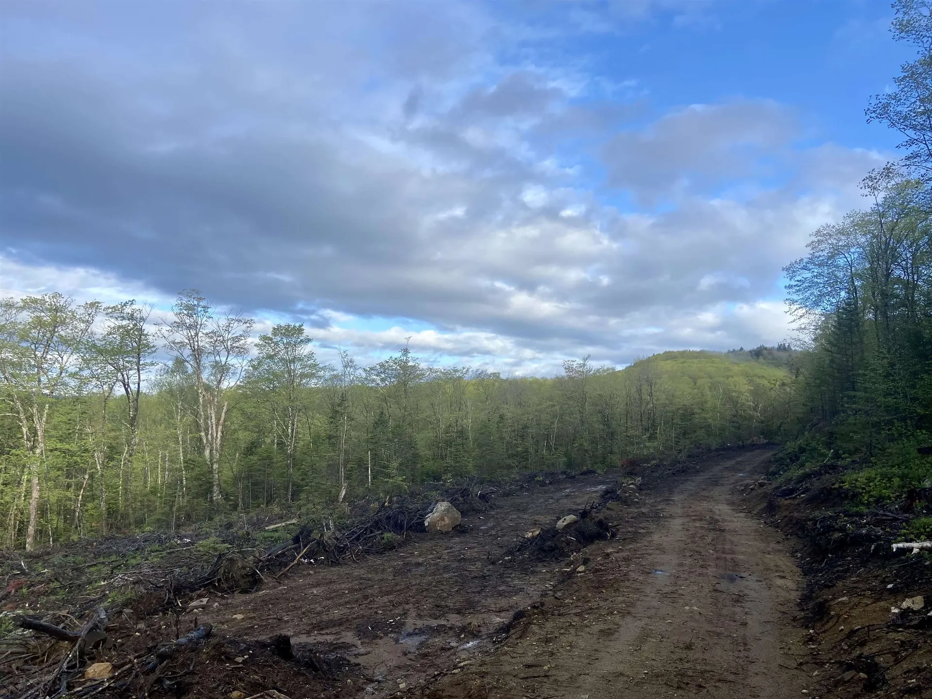 1180 Abbott Hill Road Newark VT 05871