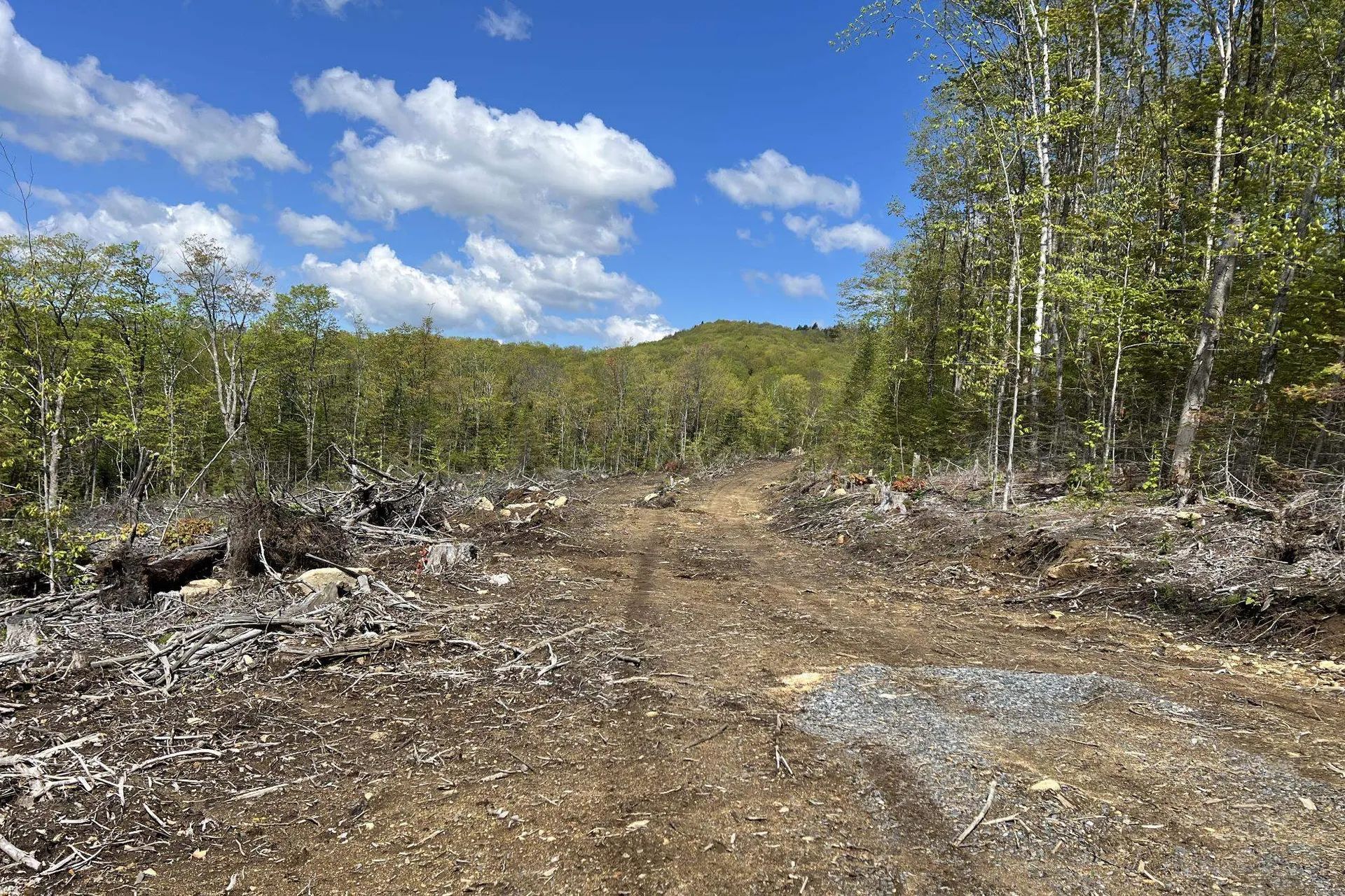 1180 Abbott Hill Road Newark VT 05871