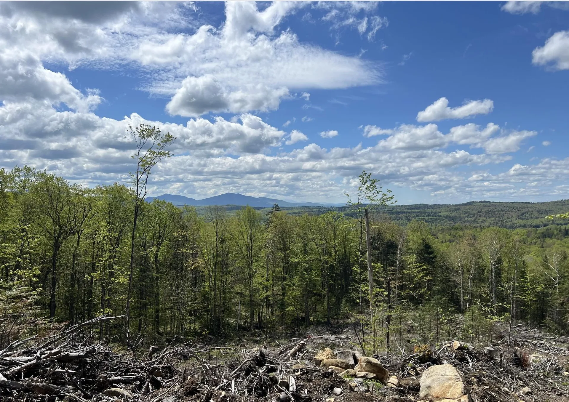 1180 Abbott Hill Road Newark VT 05871