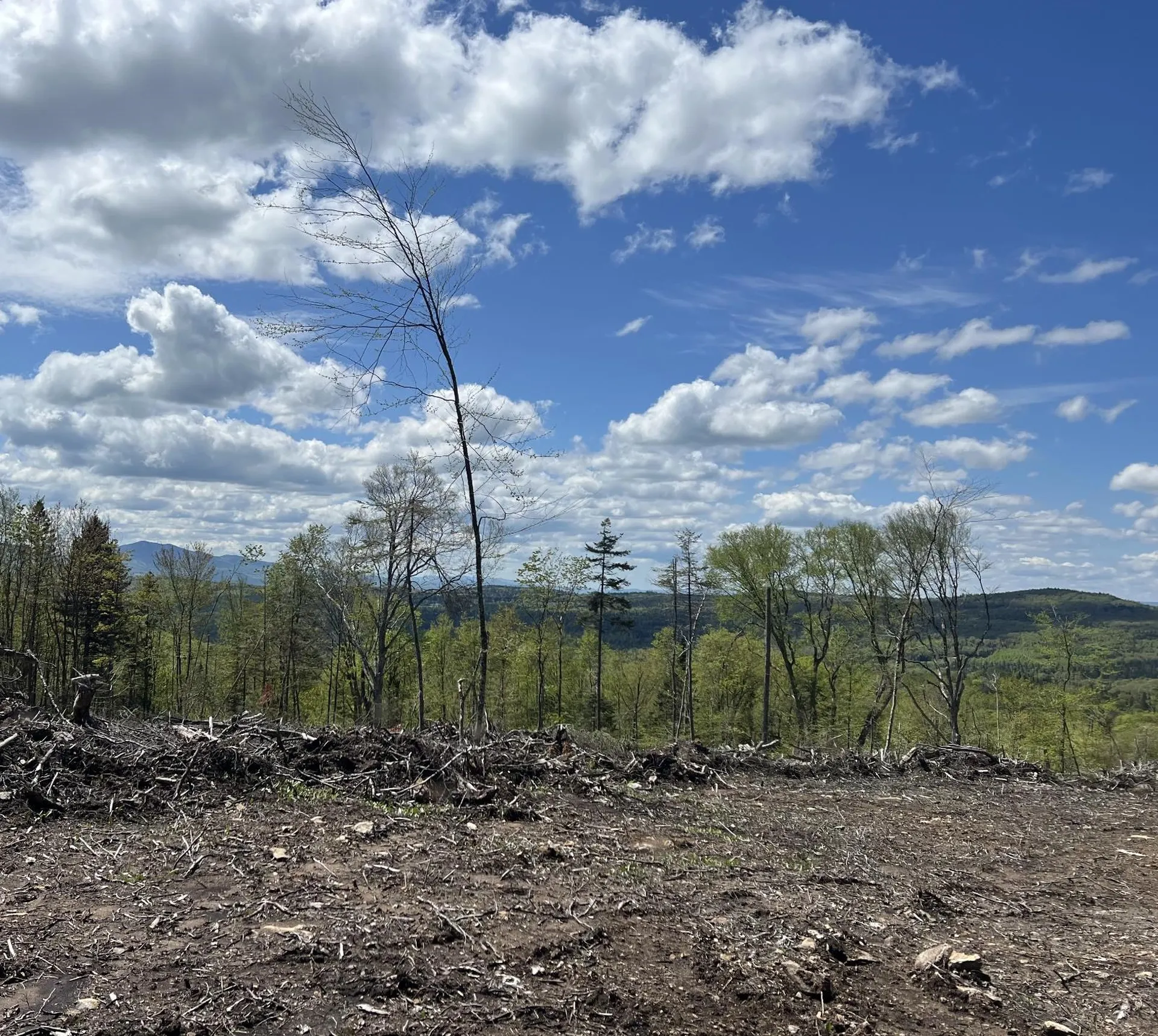 1180 Abbott Hill Road Newark VT 05871