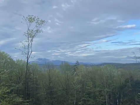 1180 Abbott Hill Road Newark VT 05871