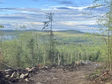 1180 Abbott Hill Road Newark VT 05871