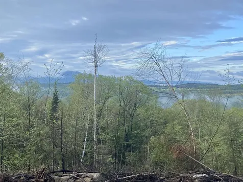 1180 Abbott Hill Road Newark VT 05871