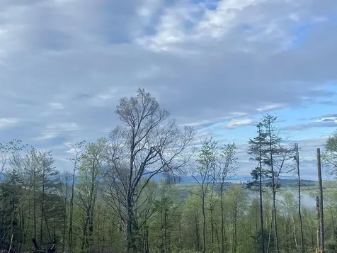 1180 Abbott Hill Road Newark VT 05871