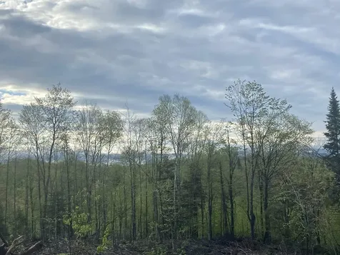 1180 Abbott Hill Road Newark VT 05871