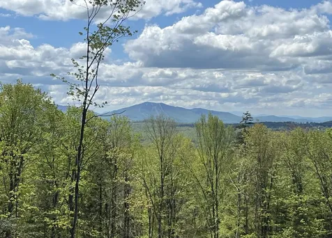 1180 Abbott Hill Road Newark VT 05871