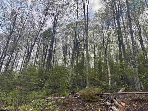 1180 Abbott Hill Road Newark VT 05871