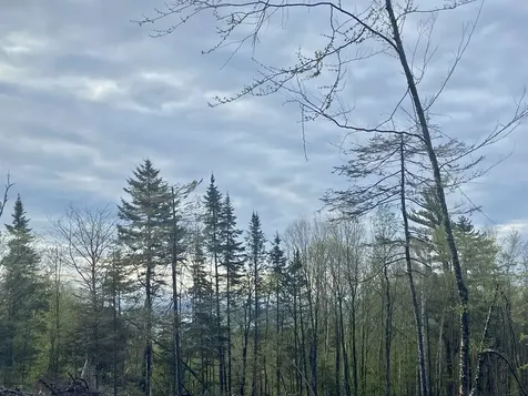 1180 Abbott Hill Road Newark VT 05871