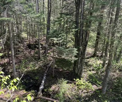 1180 Abbott Hill Road Newark VT 05871