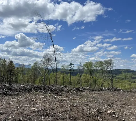 1180 Abbott Hill Road Newark VT 05871