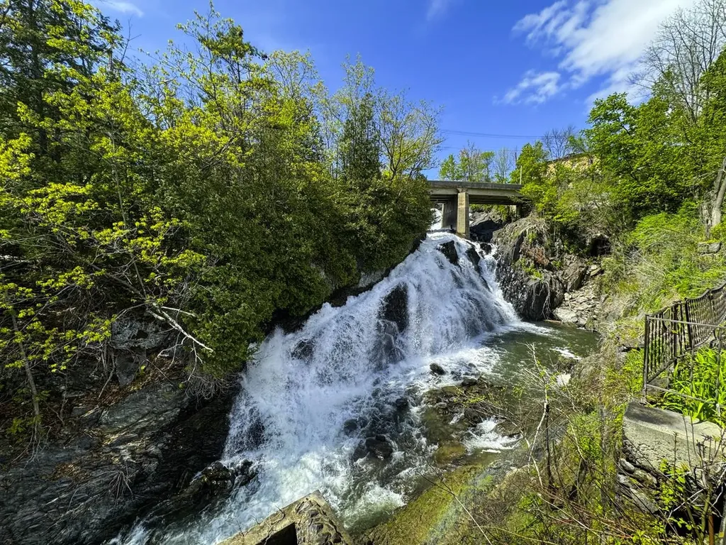 88 Mill Hill Barnet VT 05821