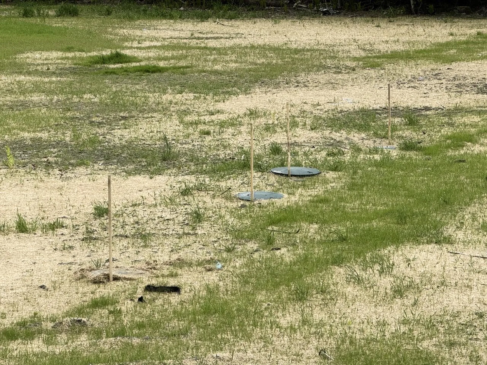 88 Mill Hill Barnet VT 05821